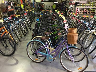 cycling-enthusiasts-20year-business-in-lifestyle-locale-5