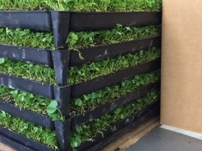 production-nursery-amp-freehold-1