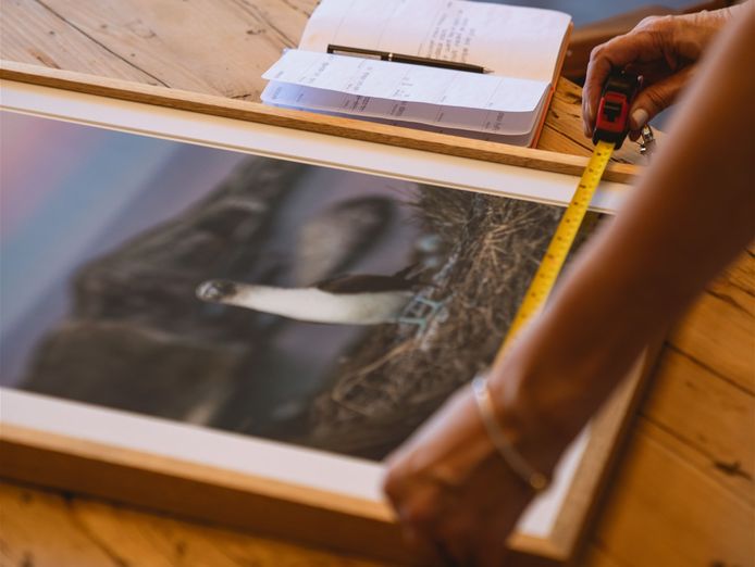 custom-picture-framing-strong-profits-0