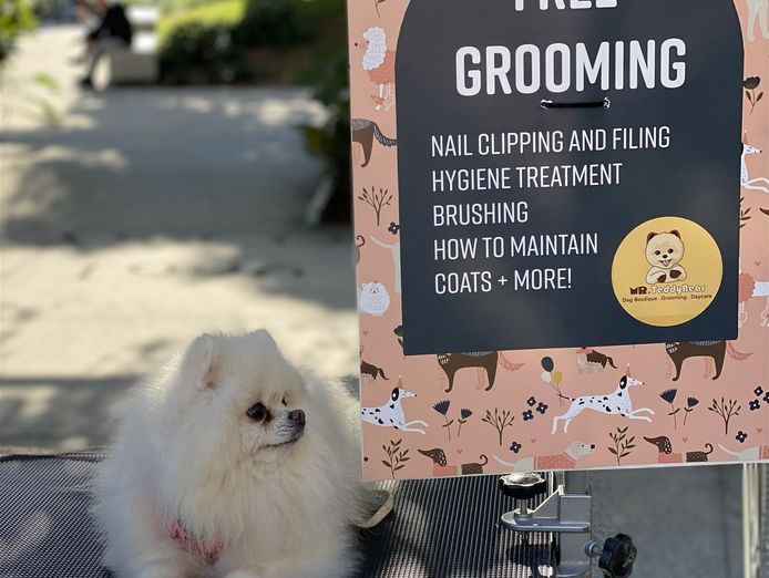 brisbane-markets-business-advance-bookings-top-venues-6