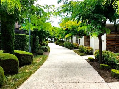 bishops-complete-garden-maintenance-1