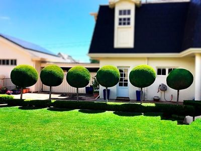 bishops-complete-garden-maintenance-3