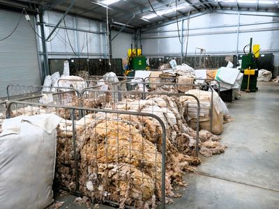 complete-wool-services-0