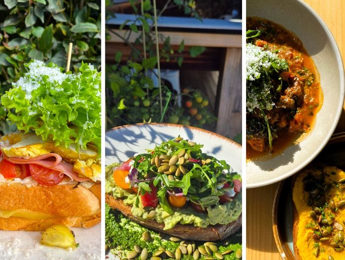 cafe-located-in-exclusive-suburb-just-minutes-from-the-adelaide-cbd-9