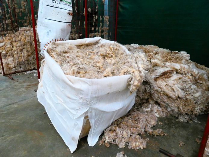 complete-wool-services-9