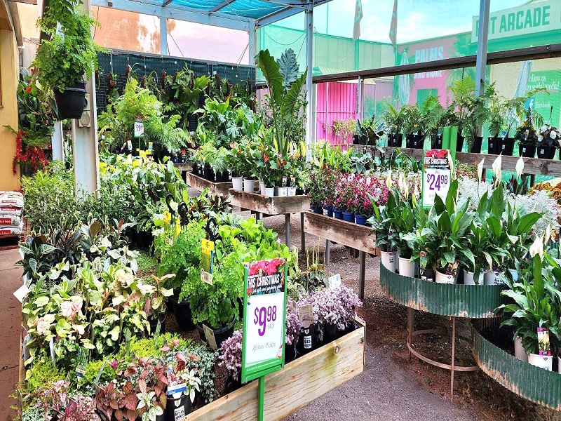 Whyalla Garden Centre in Whyalla SA, 5600 SEEK Business