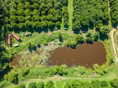 price-reduction-lovely-10-5-hectare-farm-15-minutes-from-sunny-coast-3