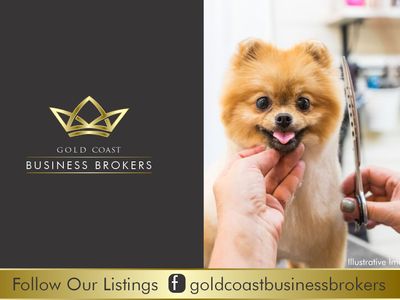 dog-grooming-business-north-gold-coast-0