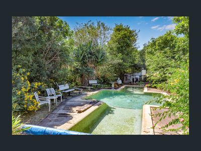 price-reduction-lovely-10-5-hectare-farm-15-minutes-from-sunny-coast-5