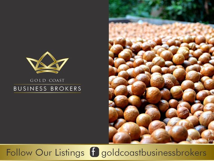 lifestyle-opportunity-work-6-mths-off-award-winning-macadamia-farm-0