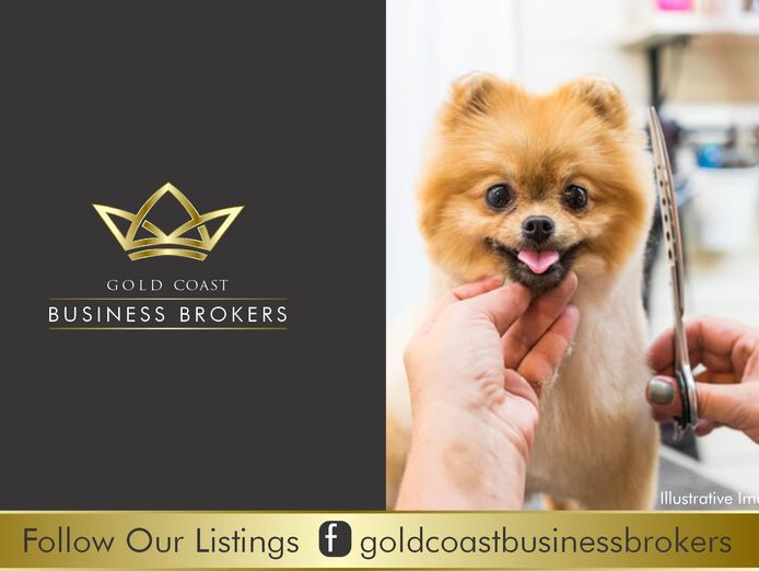 dog-grooming-business-north-gold-coast-0