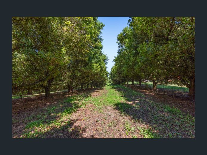 price-reduction-lovely-10-5-hectare-farm-15-minutes-from-sunny-coast-9