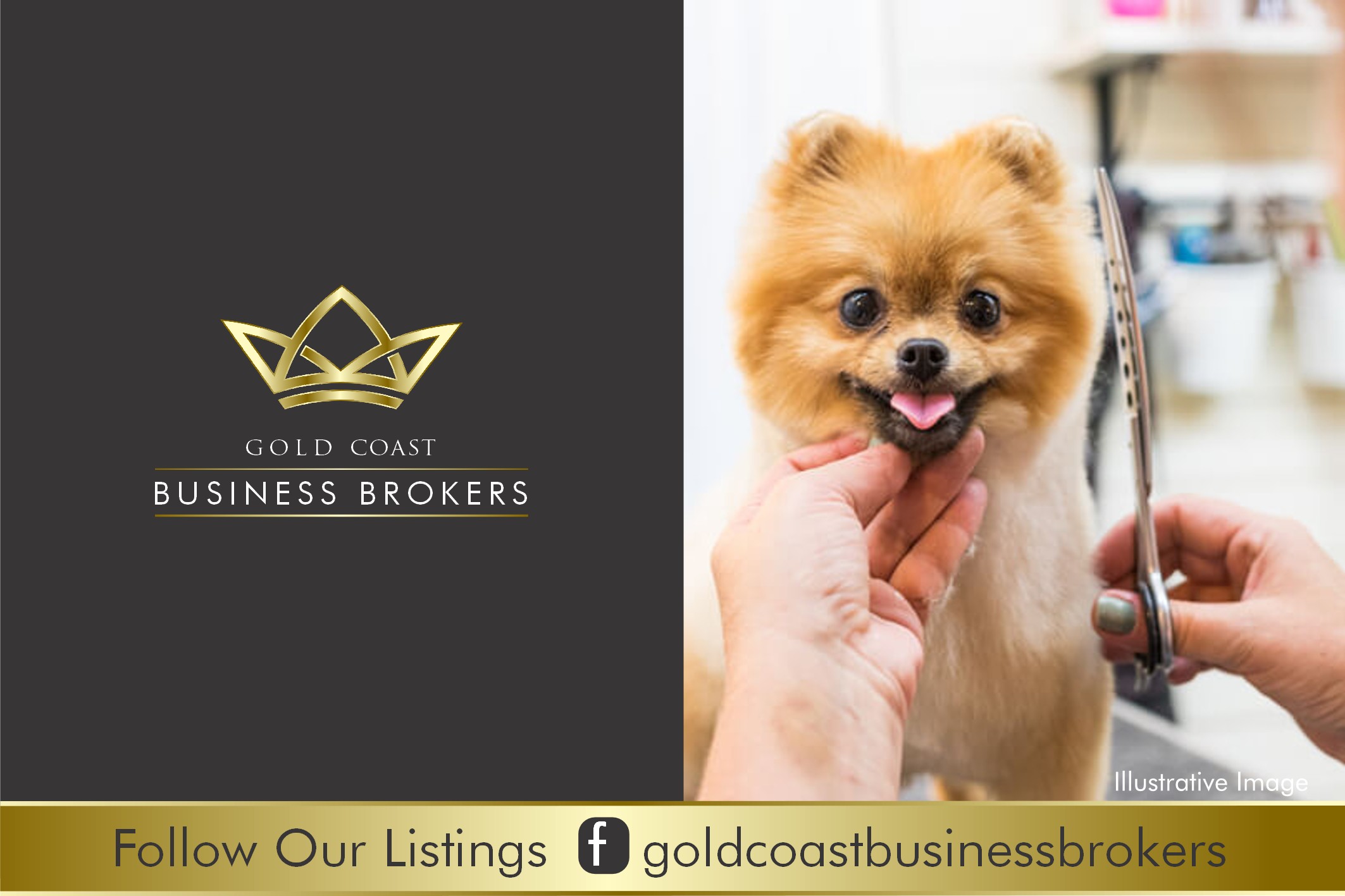 DOG GROOMING BUSINESS NORTH GOLD COAST in Gold Coast Mc QLD, 4217