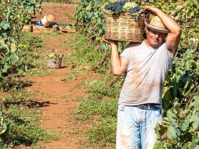 qld-funded-rto-with-long-rego-and-broad-scope-ref-1444a-4