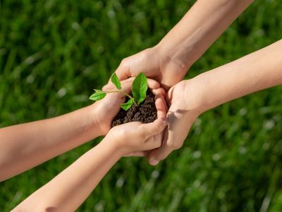 qld-funded-rto-with-long-rego-and-broad-scope-ref-1444a-5