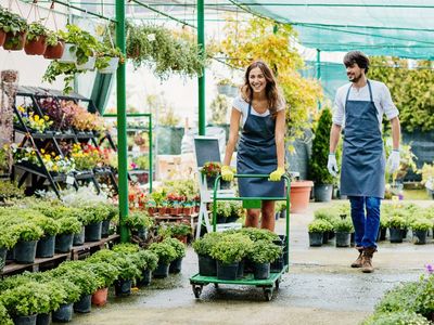 agriculture-horticulture-rto-long-rego-high-compliance-well-priced-ref-1547a-4