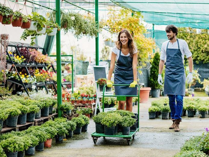 agriculture-horticulture-rto-long-rego-high-compliance-well-priced-ref-1547a-4