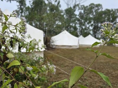 luxury-glamping-tents-townsville-6