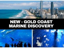 GOLD COAST MARINE DISCOVERY - FOUNDING PARTNER OPPORTUNITY