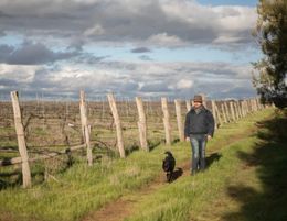 Boutique winery inviting working partners/wholesale investors to join expansion