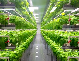 Invest in Australia's Largest Urban Vertical Farming Project