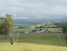 WORKING PARTNERS & WHOLESALE INVESTORS WANTED-NSW DAIRY CONVERSION-GET INVOLVED!