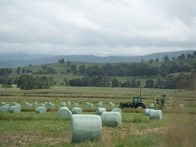working-partners-wholesale-investors-wanted-nsw-dairy-conversion-get-involved-1