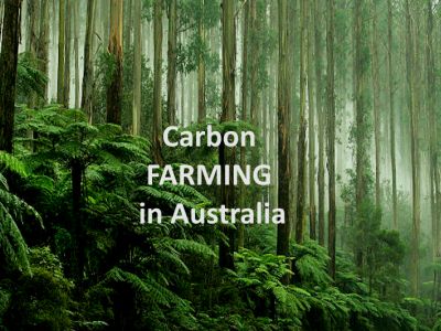 exclusive-partnership-opportunity-sovereign-carbon-at-scale-1