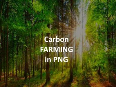 exclusive-partnership-opportunity-sovereign-carbon-at-scale-0