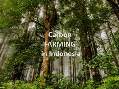 exclusive-partnership-opportunity-sovereign-carbon-at-scale-3