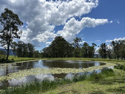 working-partners-wholesale-investors-wanted-nsw-dairy-conversion-get-involved-4