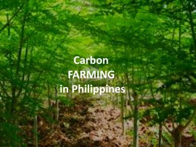 exclusive-partnership-opportunity-sovereign-carbon-at-scale-2