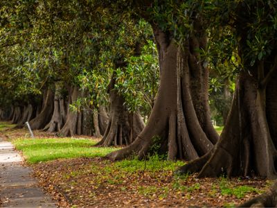 commercial-property-development-newcastle-nsw-seeking-partners-2
