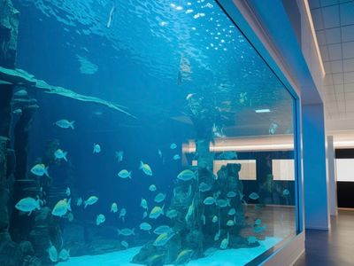 gold-coast-marine-discovery-founding-partner-opportunity-6