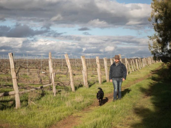 boutique-winery-inviting-working-partners-wholesale-investors-to-join-expansion-0