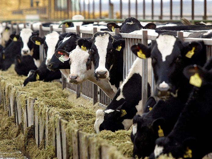 leading-dairy-farming-enterprise-seeks-investors-for-growth-opportunity-0