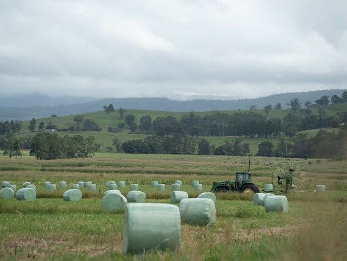 working-partners-wholesale-investors-wanted-nsw-dairy-conversion-get-involved-1
