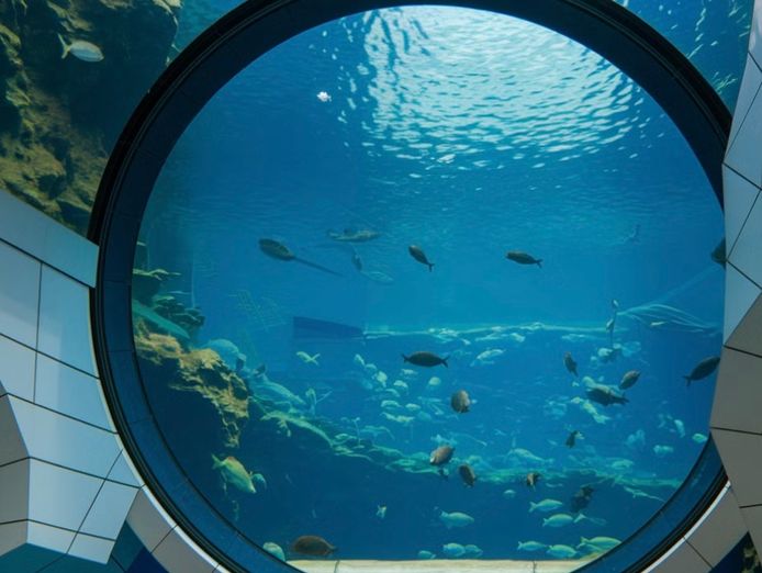 gold-coast-marine-discovery-founding-partner-opportunity-4