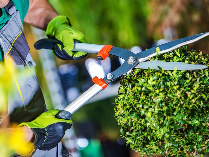 Lowcost regular cleaning franchise in Perth with guaranteed in