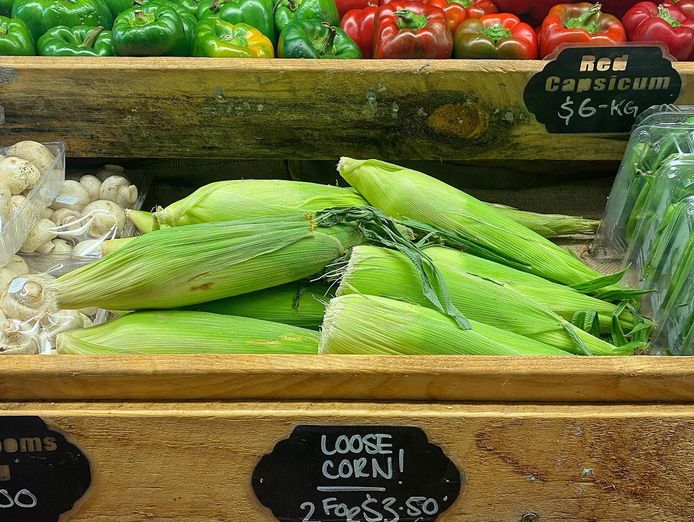 innovative-and-grow-dive-into-prosperous-grocery-acquisition-4