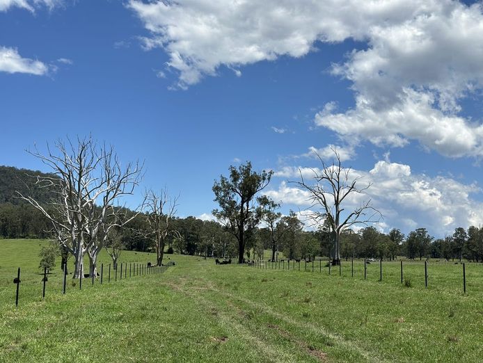 working-partners-wholesale-investors-wanted-nsw-dairy-conversion-get-involved-3