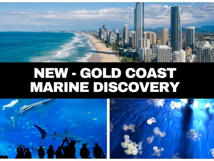 gold-coast-marine-discovery-founding-partner-opportunity-0