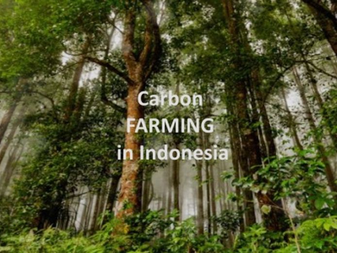 exclusive-partnership-opportunity-sovereign-carbon-at-scale-3