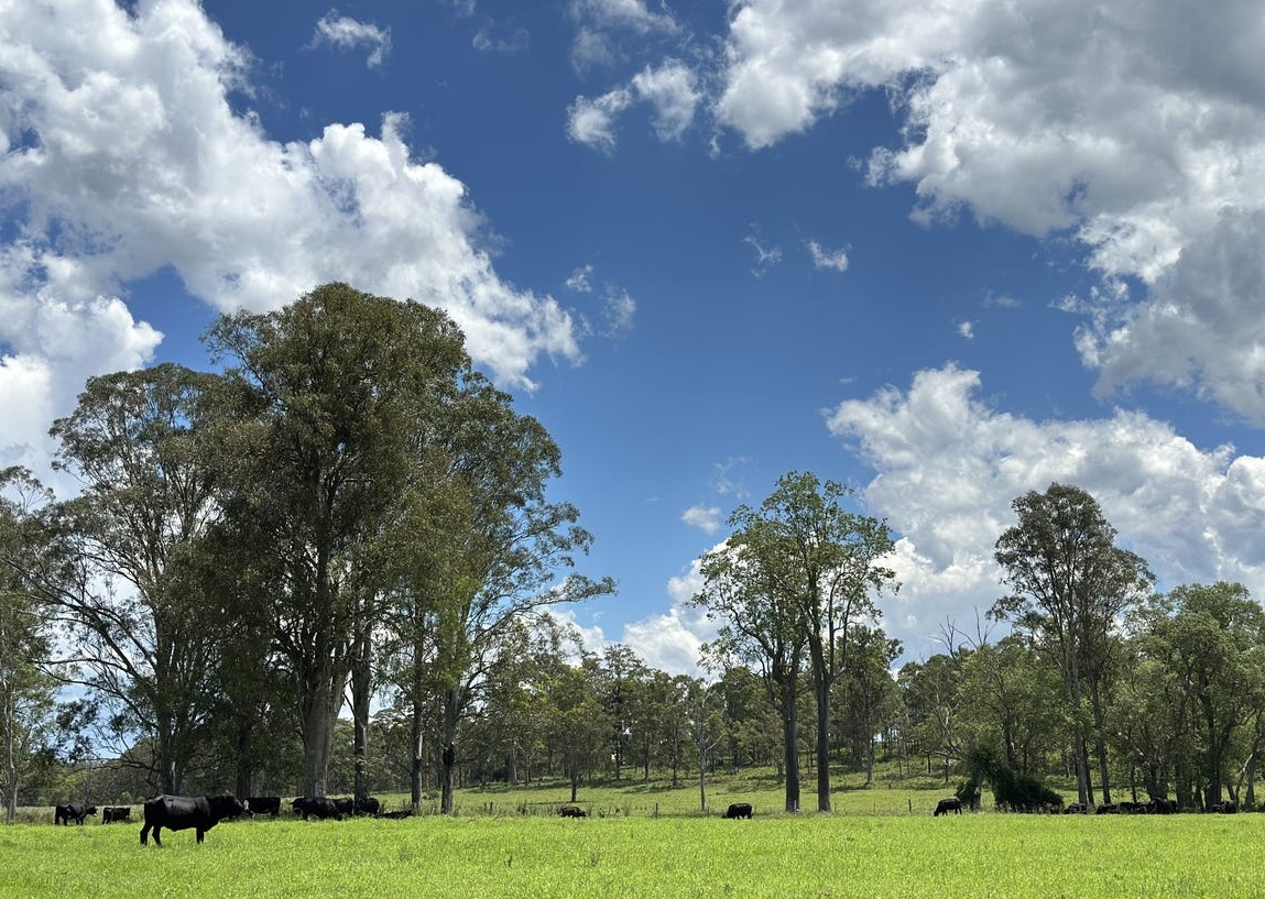 Explore a high-growth opportunity in prime Australian agriculture NOW ...