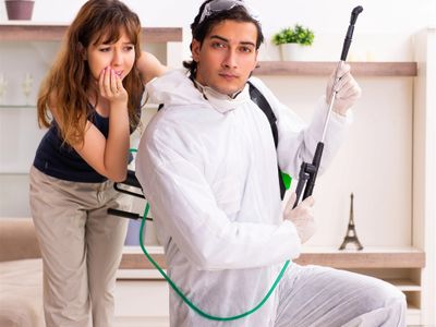 pest-control-business-reputable-brand-solid-profits-loyal-clients-0