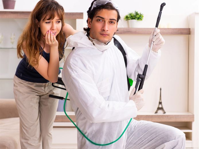 pest-control-business-reputable-brand-solid-profits-loyal-clients-0