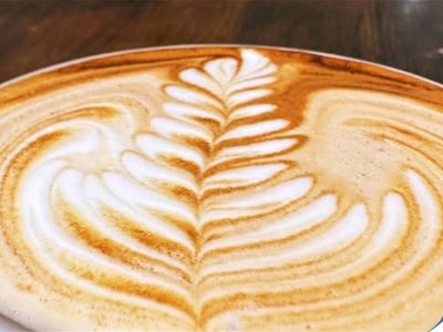 cafe-for-sale-macquarie-park-low-rent-long-lease-0