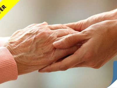 under-offer-ndis-business-for-sale-in-qld-with-11m-revenue-strong-reputation-0
