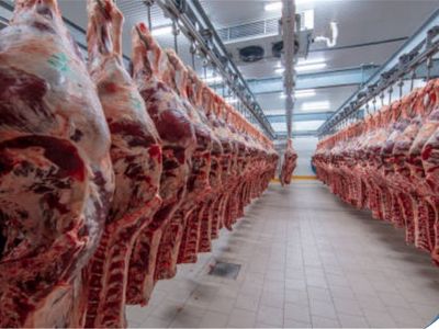 nsw-meat-wholesalers-36-years-established-12-mil-t-0-per-year-high-profits-1
