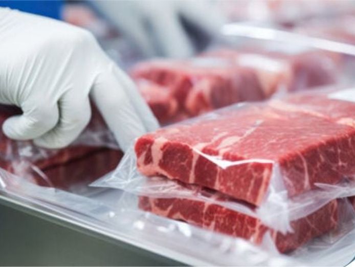 sydney-meat-wholesalers-55-years-established-6-mil-t-0-per-year-high-profits-1
